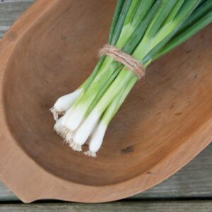 All Year Round Spring Onions Heirloom Seeds