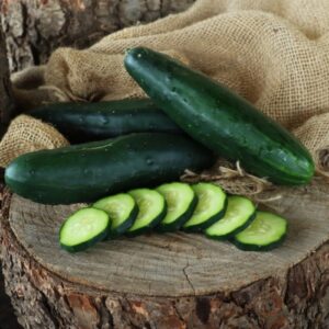 Ashley Cucumber Heirloom Seed