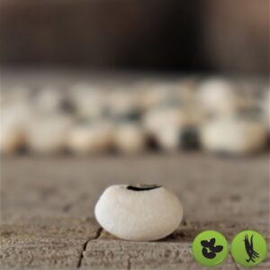 Black Eye Beans Heirloom Seed