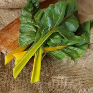 Canary Yellow Swiss Chard Heirloom Seeds