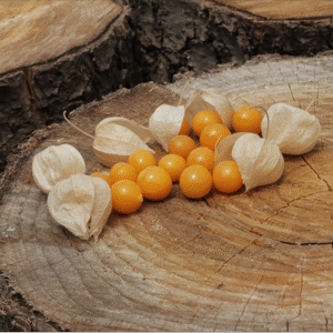 Cape Gooseberry Heirloom Seeds