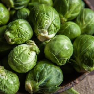 Catskill BrusselSprouts Heirloom Seeds