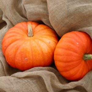 Cinderella Pumpkin Heirloom Seeds