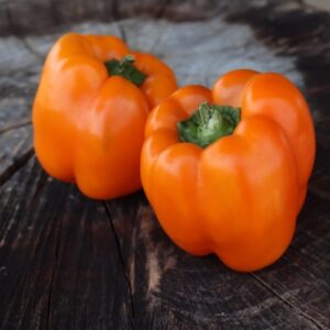 Orange Sun Sweet Pepper Heirloom Seeds