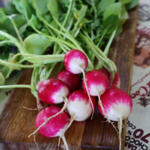 Sparkler Radish Heirloom Seeds