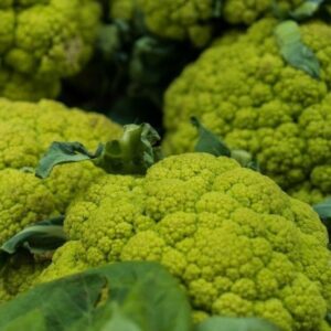 Green Igloo Cauliflower Heirloom Seeds